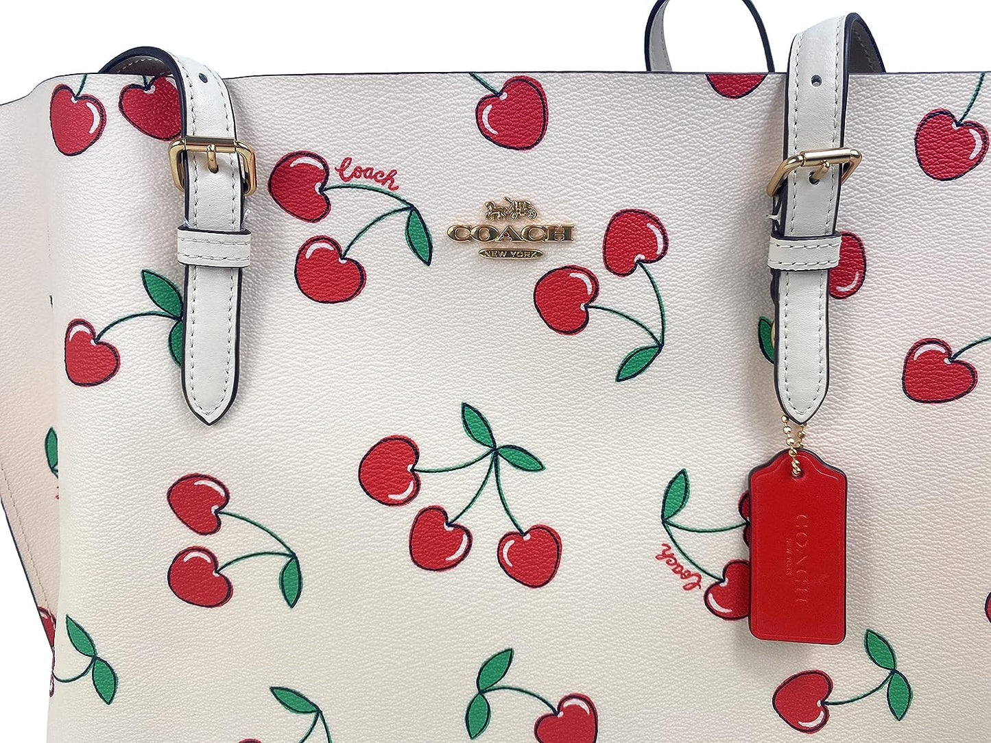 COACH Mollie Tote 1671