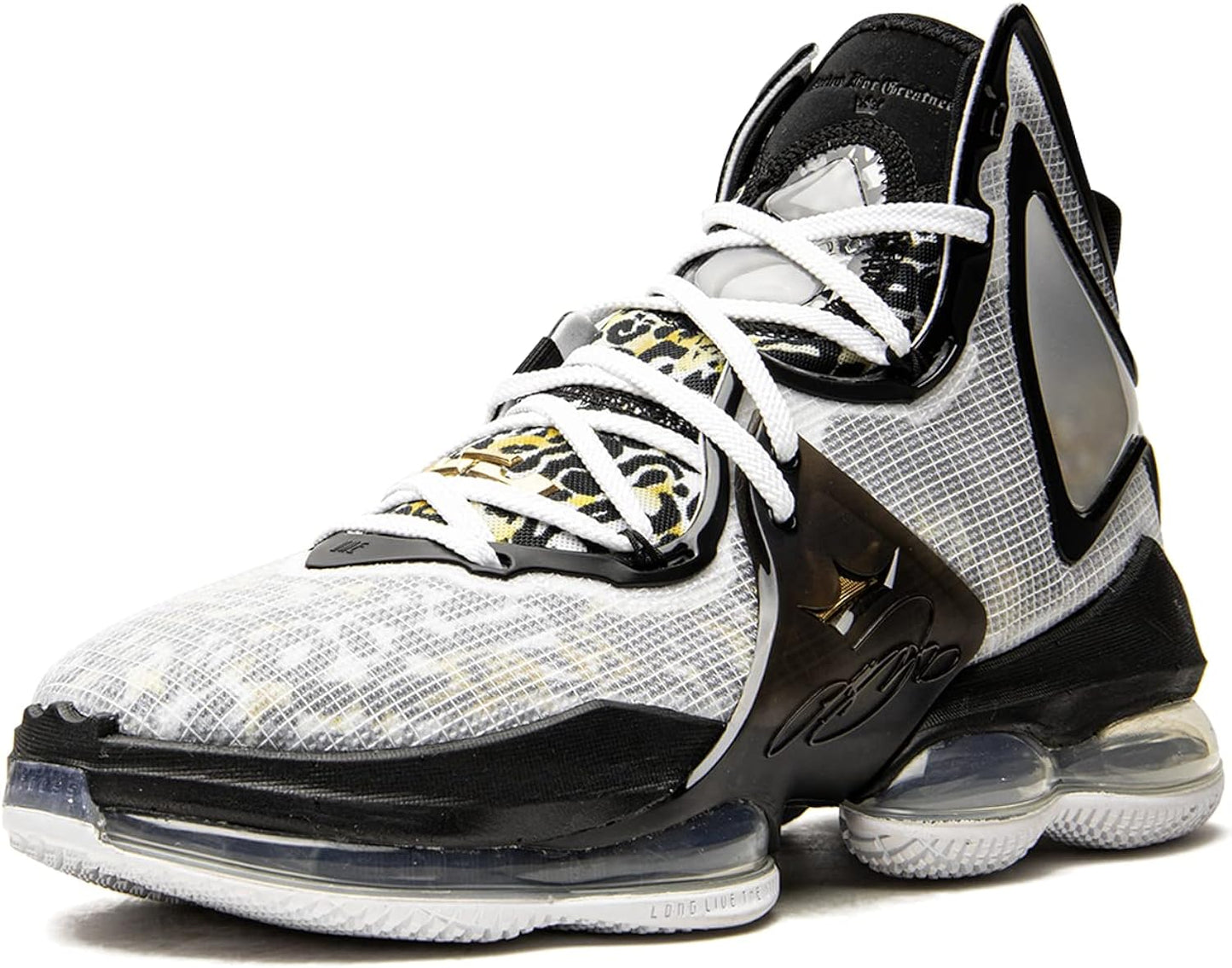 Nike Mens Lebron XIX 19 "Space Jam Basketball Shoes