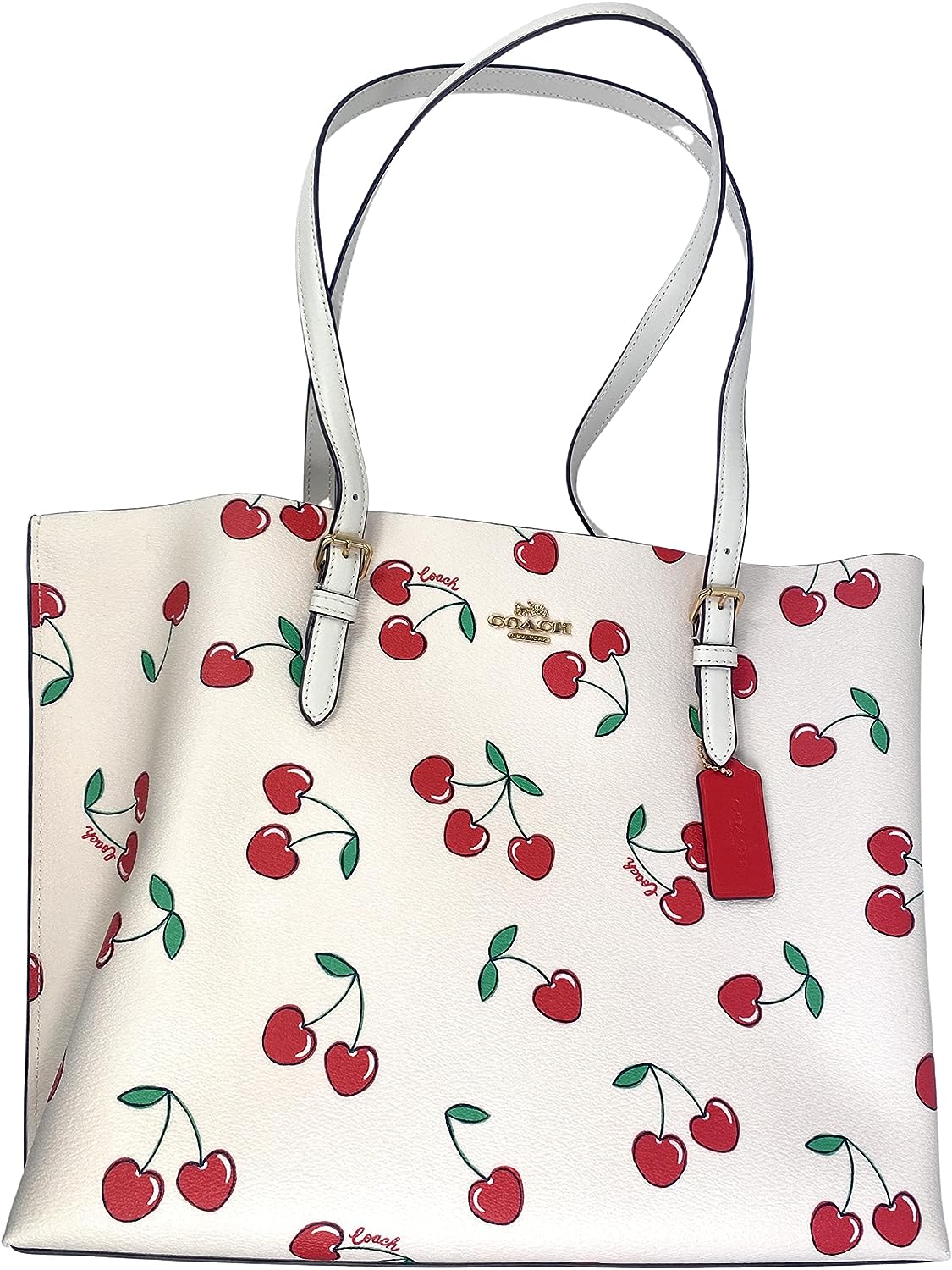 COACH Mollie Tote 1671